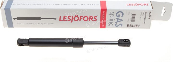 Lesjofors 8063402