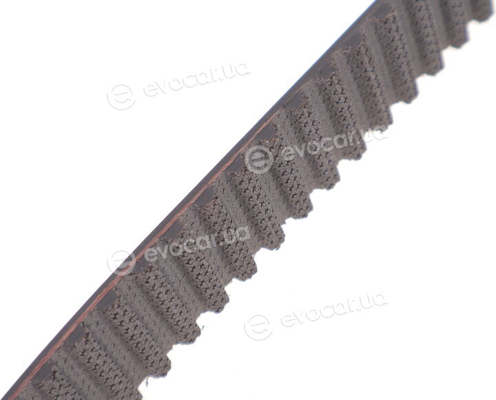Gates K035623XS
