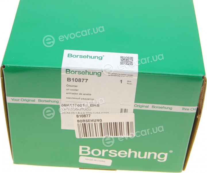 Borsehung B10877