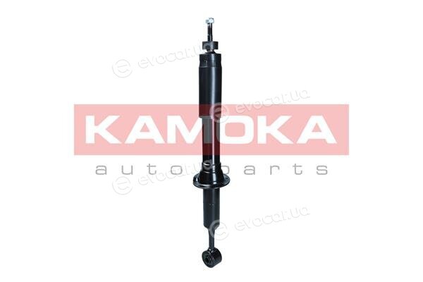 Kamoka 2001284