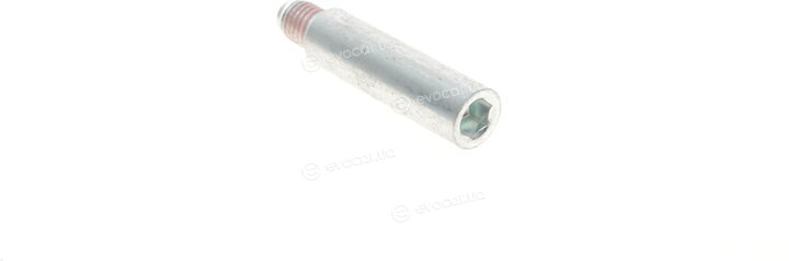 Solgy 223008