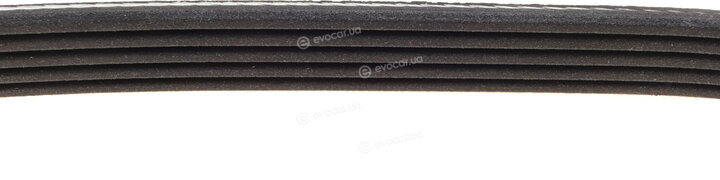 Dayco 5PK575