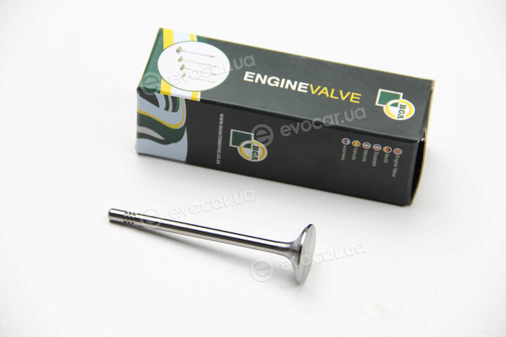 BGA V165640