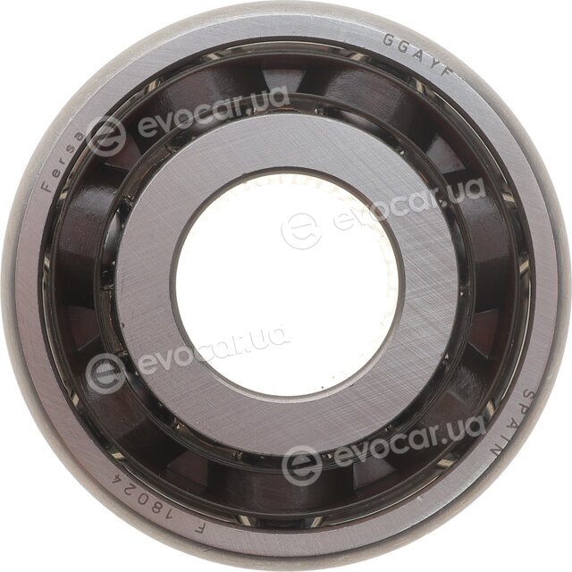 Fersa F 18024