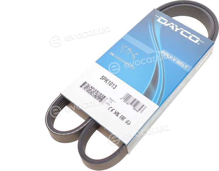 Dayco 5PK1013