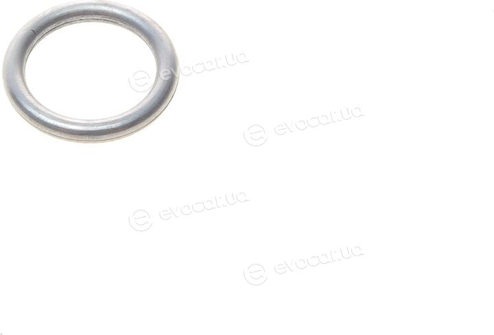 Elring 569.410