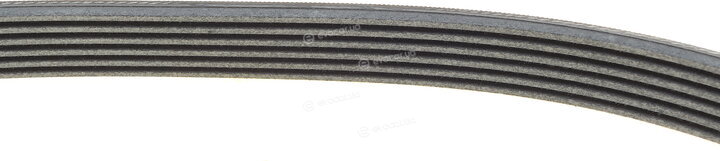 Continental 6PK1075