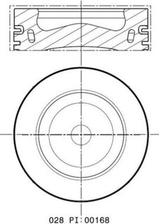 Mahle 028 PI 00168 000