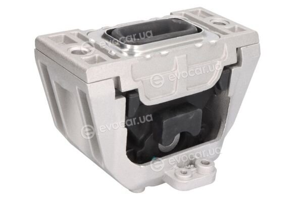 Reinhoch RH11-0166