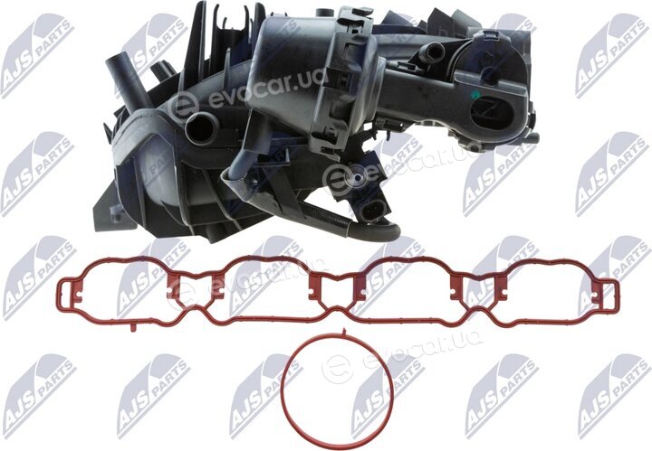NTY BKS-VW-031