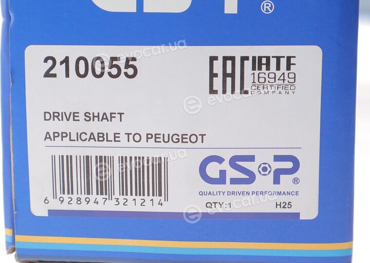 GSP 210055