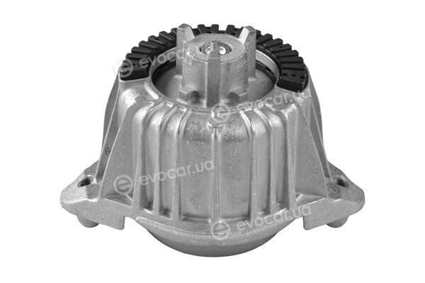 Tedgum TED13918