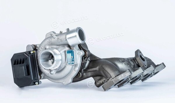 BorgWarner 16389880014