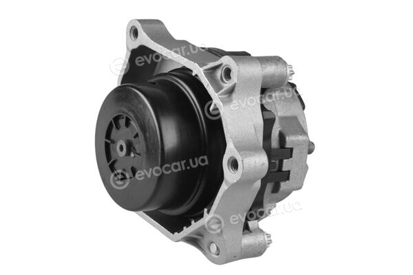Tedgum TED91713