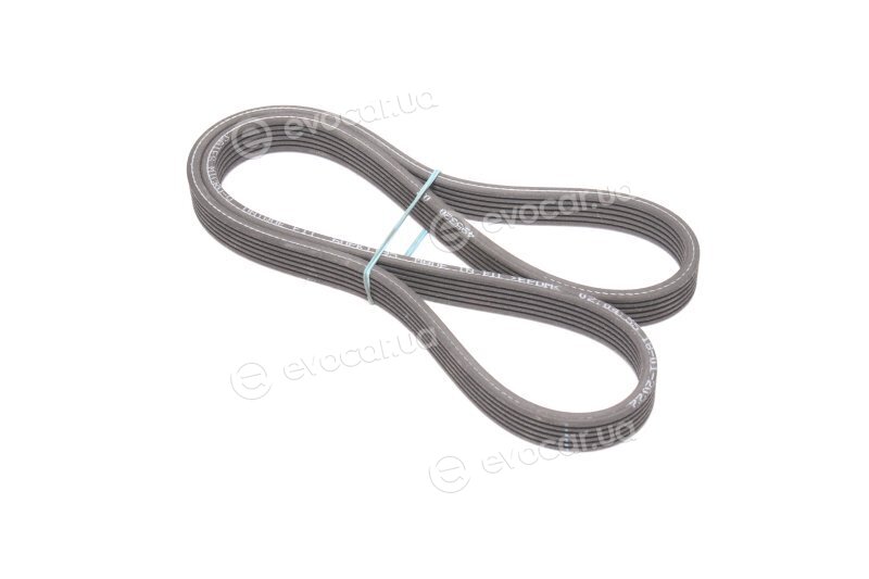 Gates 6DPK1195
