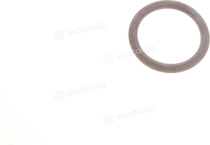 Solgy 216007