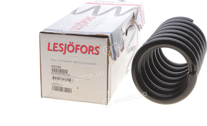 Lesjofors 4027568