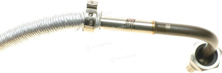 Solgy 115012