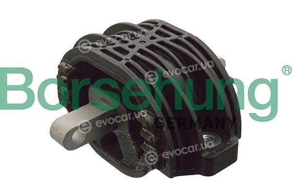 Borsehung B12635