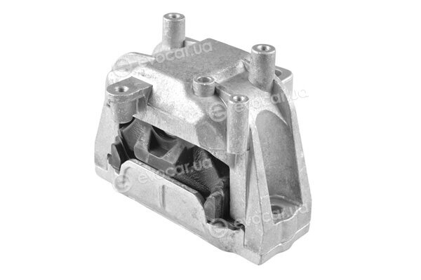 Tedgum TED82685