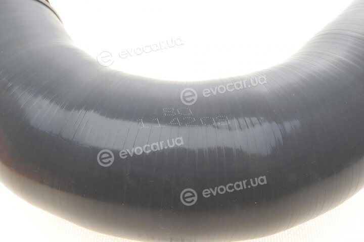 Solgy 114203