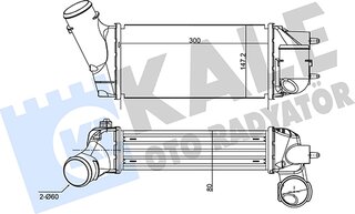 Kale 350845