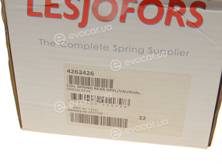 Lesjofors 4263426