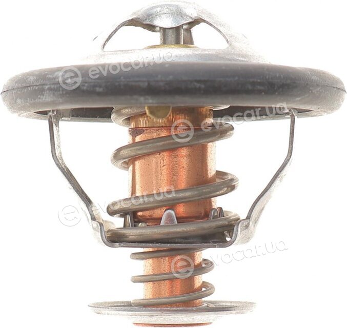 Motorad 446-82K
