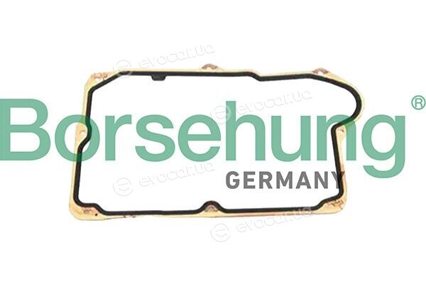 Borsehung B13266