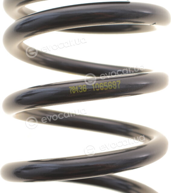 Lesjofors 4042106
