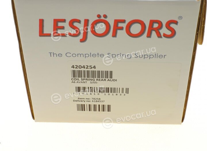 Lesjofors 4204254