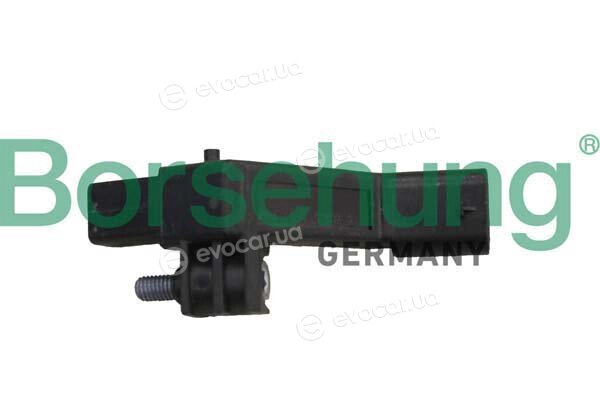 Borsehung B12319