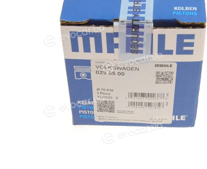 Mahle 029 55 00