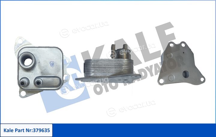 Kale 379635