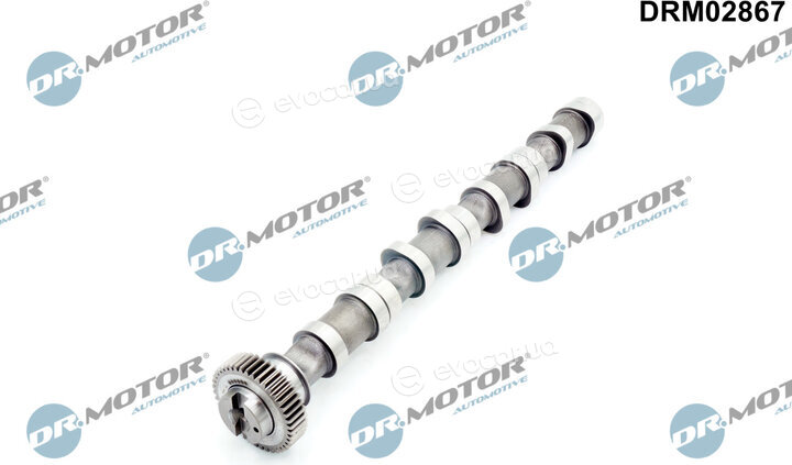 Dr. Motor DRM02867