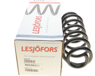 Lesjofors 4295137