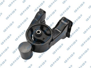GSP 533293