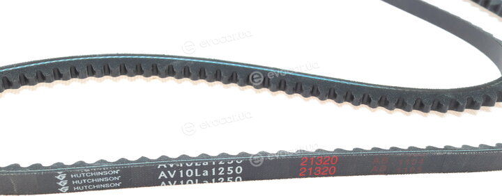Hutchinson AV 10 La 1250