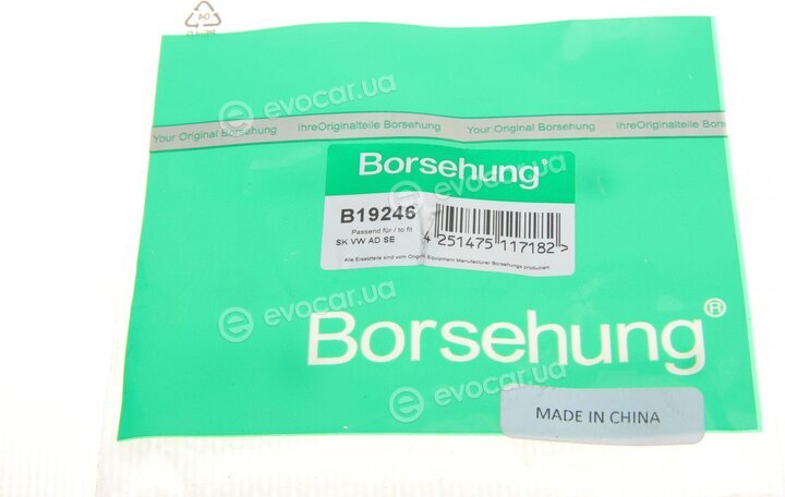 Borsehung B19246