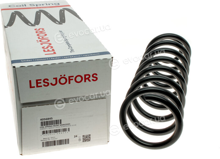 Lesjofors 4056845