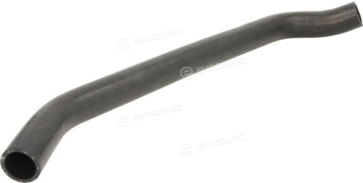 Thermotec DWW299TT