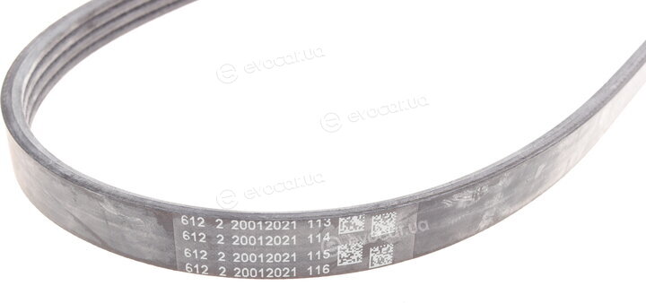 Continental 4PK874 ELAST