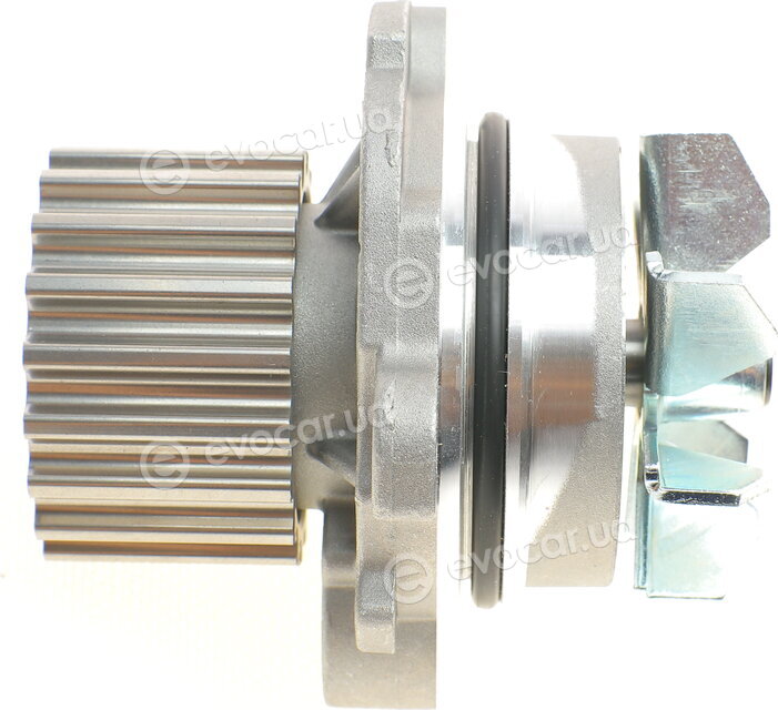 Continental CT1134WP2