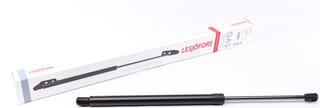 Lesjofors 8172934