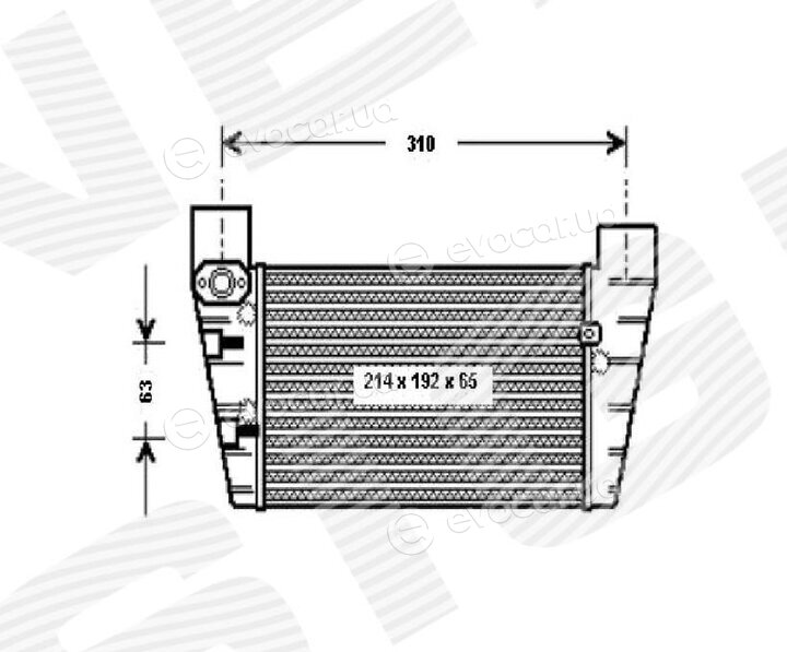 Signeda RI96709