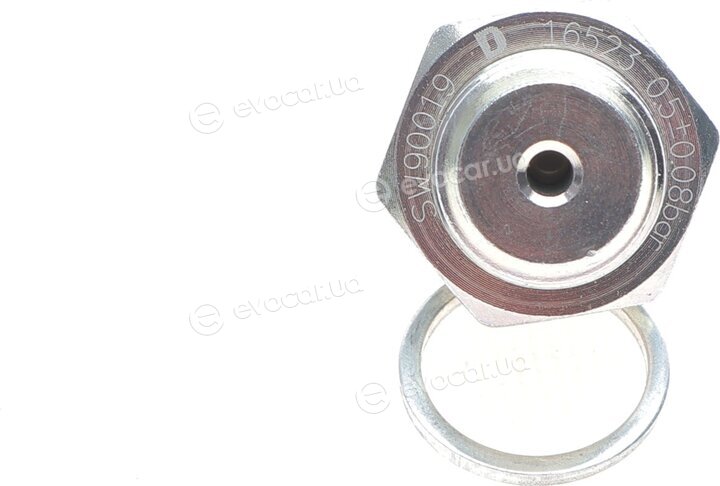 Delphi SW90019