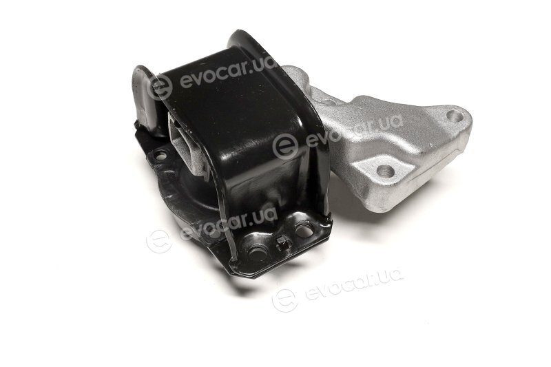 Sasic 2700034