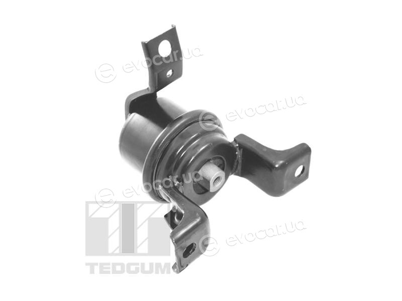Tedgum TED10622