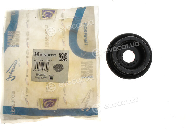 Hutchinson 590260