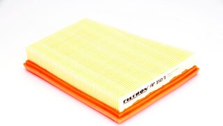 Filtron AP 150/1